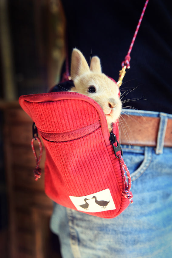 Sisy Tasche